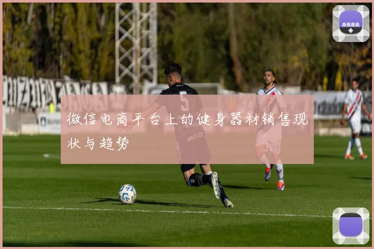 微信电商平台上的健身器材销售现状与趋势