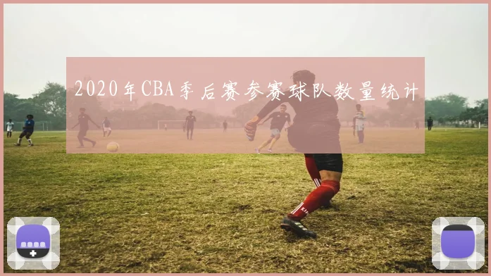 2020年CBA季后赛参赛球队数量统计