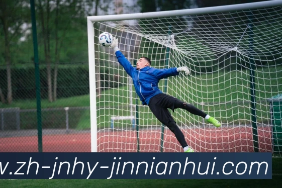 金年会体育APP 高清赛事图